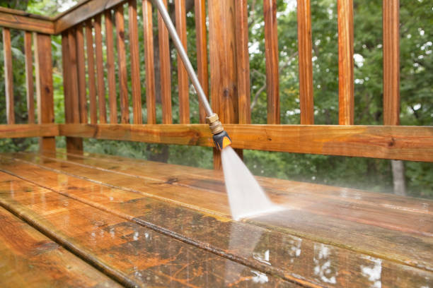 Best Sidewalk and Walkway Cleaning  in Richmond West, FL